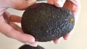 Este é o melhor truque para saber se um abacate está maduro sem abri-lo! é perfeito por dentro