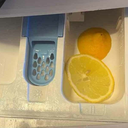 Faça como todas as donas de casa e corte 2 rodelas de limão no compartimento da máquina de lavar.
