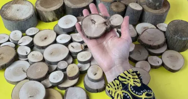 Fatias de toco de árvore, não jogue fora: aqui estão 3 ideias incríveis para reaproveitá-las agora mesmo