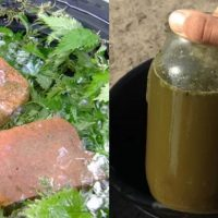 Fertilizante para grama e ervas daninhas. A solução ideal: até o jardim está limpo e as colheitas satisfeitas!