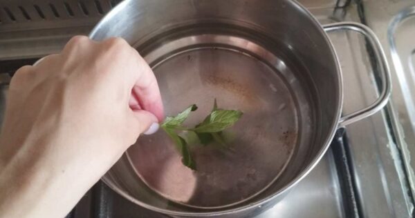 Ferva 3 folhas de hortelã em uma panela: 10 minutos depois acontece em casa