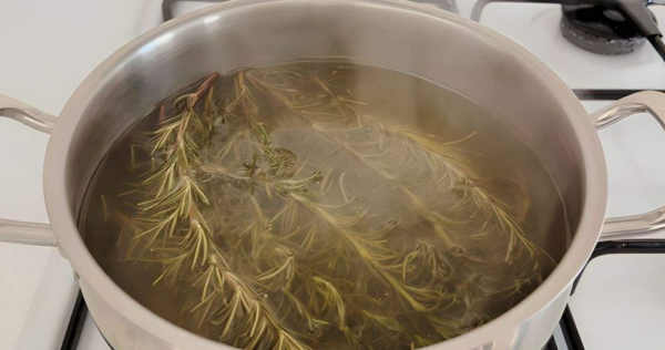 Ferva 5 raminhos de alecrim, você vai se livrar de um problema chato