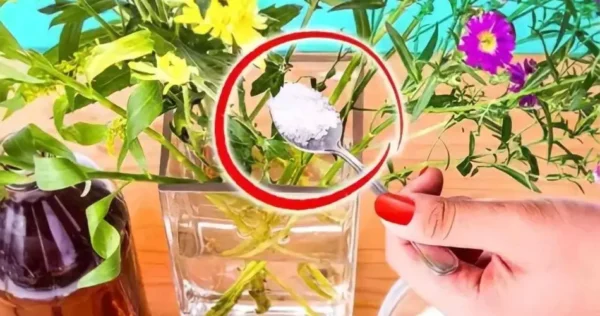 Flores frescas, o segredo dos floristas para que durem 30 dias sem murchar