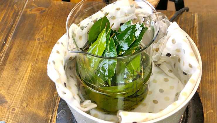 Folha de louro e óleo