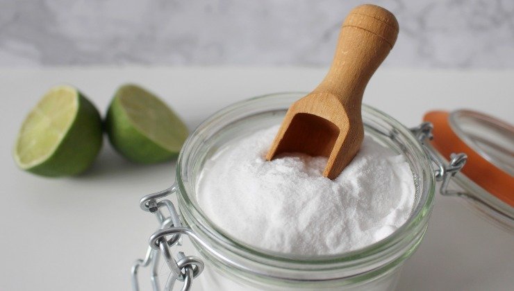 Orquídea: aqui está o ingrediente secreto para a manutenção