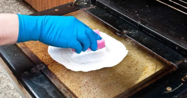 Forno muito limpo e cheiroso com este método natural: todas as avós fazem isso