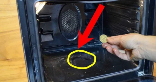 Forno perfeitamente limpo com o método da moeda: a sujeira desaparece em pouco tempo