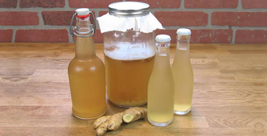 Gengibre fermentado: a receita da bebida natural, saborosa e terapêutica