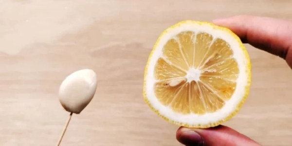 Graças a este antigo método chinês, as baratas desaparecerão para sempre!