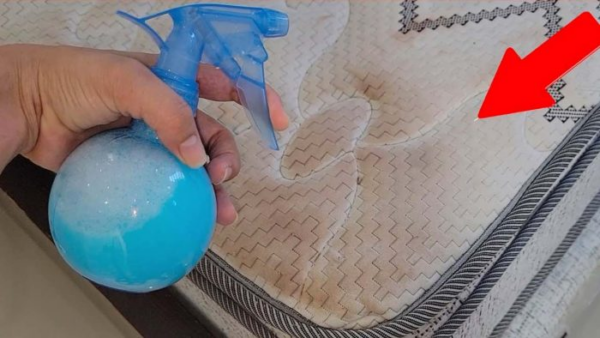 Graças a isso, você eliminará toda a sujeira, mofo e odor dos colchões de sua casa.