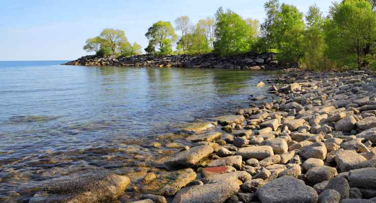 A proliferação de pappataci em ambientes úmidos