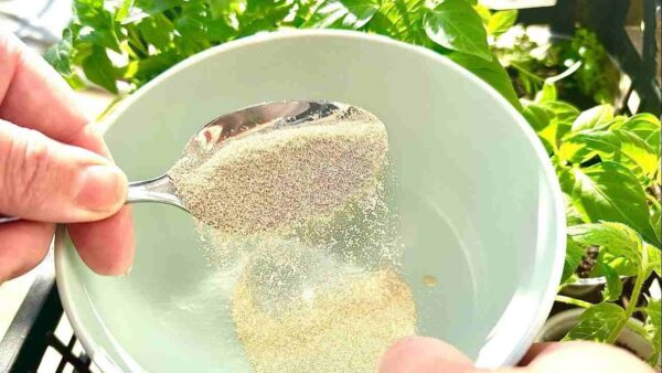 Isso acelera muito o crescimento das mudas que você tem na sua varanda e jardim.