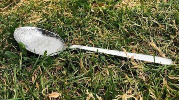 Jardinagem orgânica: por que polvilhar açúcar no jardim?