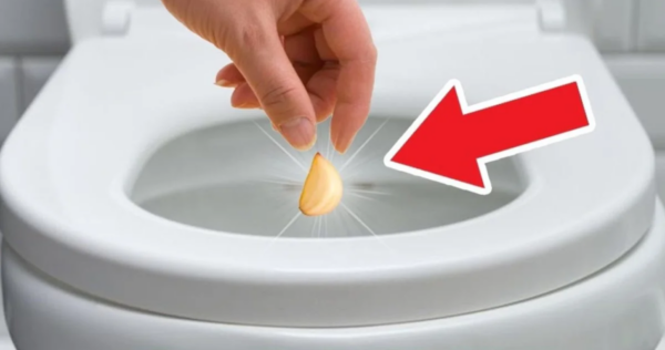 Jogar um dente de alho no vaso sanitário: o truque da vovó que elimina esse problema horrível! Resultados imediatos