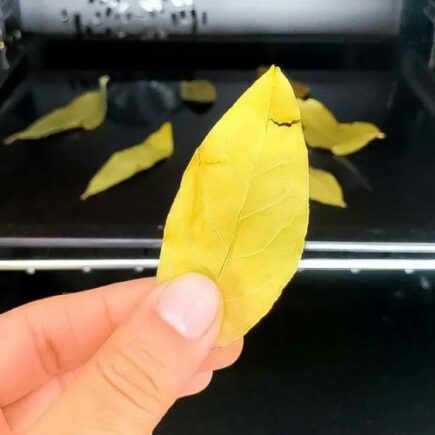 Leve as folhas de louro ao forno por 20 minutos: o truque inteligente que todas as donas de casa fazem