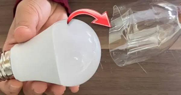 Lâmpada queimada, não jogue fora: o segredo do eletricista para consertá-la