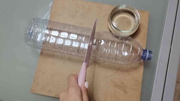 MAS QUE ARMADILHA PARA MOSQUITOS, A ARMADILHA NATURAL CONTRA MOSCAS, MOSQUITOS E OUTROS INSETOS