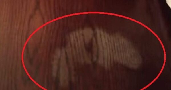 Manchas de madeira: 3 ingredientes secretos e supereficazes para removê-las permanentemente