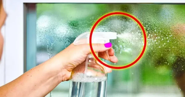 Meio copo deste ingrediente que você tem em casa é suficiente para ter janelas limpas e brilhantes