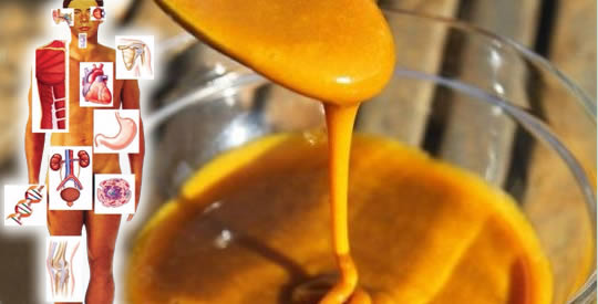 Mel e açafrão: combine-os assim para preparar um excelente remédio antibiótico natural