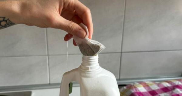 Mergulhar um saquinho de chá em água sanitária: o resultado é imprevisível