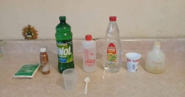 Mistura natural caseira para extermínio de percevejos de 10 centavos