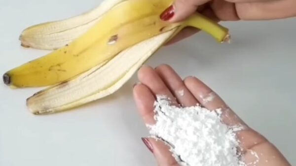 Misture estes 2 ingredientes e você parecerá muito mais jovem: adeus rugas