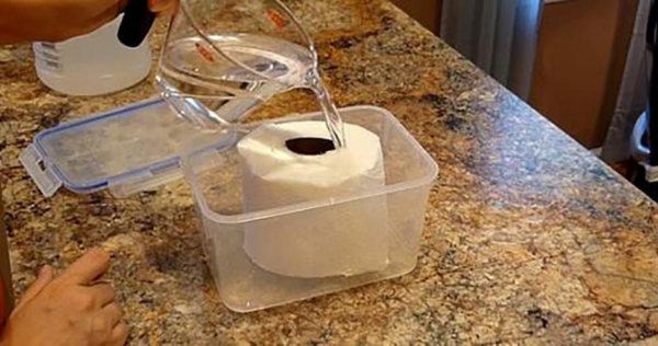 Molhar papel higiênico com vinagre é a solução para muitos dos problemas domésticos!