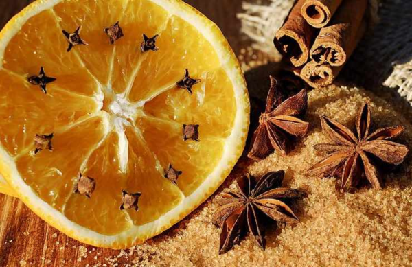 Moscas em casa, remédios da avó que têm efeito decisivo