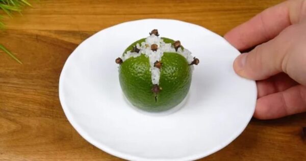 Moscas, mosquitos e baratas desaparecerão da sua vista com este método natural