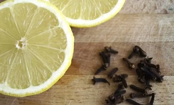 Mosquitos: como mantê-los afastados naturalmente