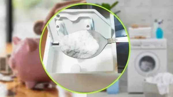 Máquina de lavar, jogue sempre uma colherada: você economiza muito dinheiro na conta