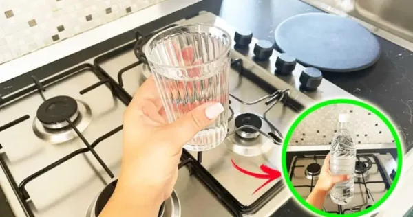 Nem todo mundo sabe disso, mas veja por que você deve colocar um copo de vinagre no fogão