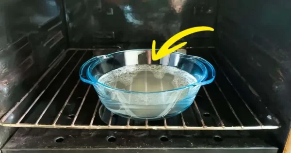 Não possui a função de autolimpeza do forno? Este truque irá substituí-lo 100%