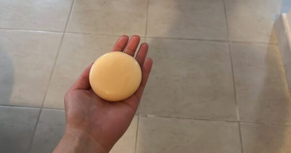 Não só todo o chão cheirará mal, mas os insetos nunca mais voltarão