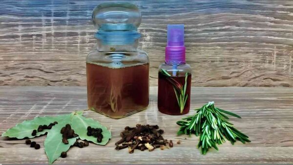 Não só todo o seu cabelo vai crescer, como também não vai cair: bastam 3 ingredientes