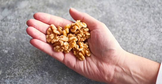 Nozes: reduzem o colesterol, queimam gordura e aliviam a dor