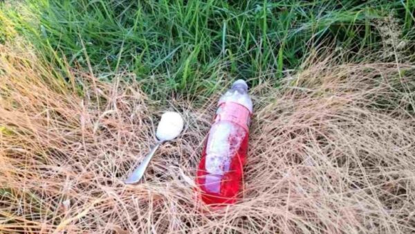 Num jardim não cultivado, apenas este ingrediente permitirá que você se livre de todas as ervas daninhas e arbustos