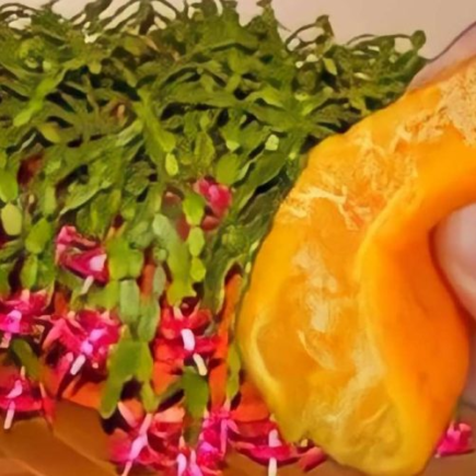 Nunca floresceu assim: 1 colher de sopa desse ingrediente faz toda a diferença