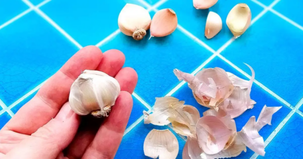 Nunca jogo cascas de alho no lixo porque “elas valem seu peso em ouro”: veja como reaproveitá-las