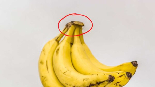 Nunca jogue fora essa parte da banana: por isso vale ouro dentro de casa