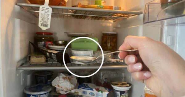 Nunca mais sinta o cheiro de carne ou peixe podre na geladeira com esta solução rápida e eficaz