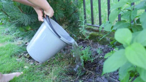 O QUE ACONTECE SE A ÁGUA DERRAMAR NO JARDIM DO SEU VIZINHO? PRESTE ATENÇÃO AOS REGULAMENTOS