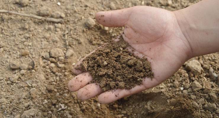 Fertilizante orgânico