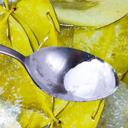 O bicarbonato de sódio na ponta da folha de louro: técnica antiga das avós que não merecia ser esquecida