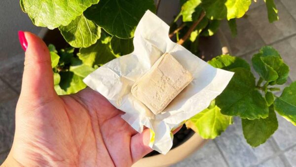 O fermento vencido pode ser usado? Sim, faça um fertilizante!