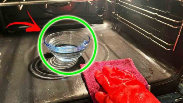 O forno fedorento e sujo só será uma lembrança ruim: confie neste conselho