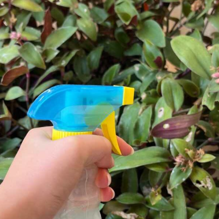 O fungicida caseiro altamente eficaz para plantas: esses três ingredientes farão o truque.