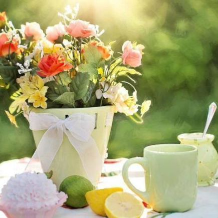 O jardim perfeito, 4 ideias para torná-lo moderno e confortável