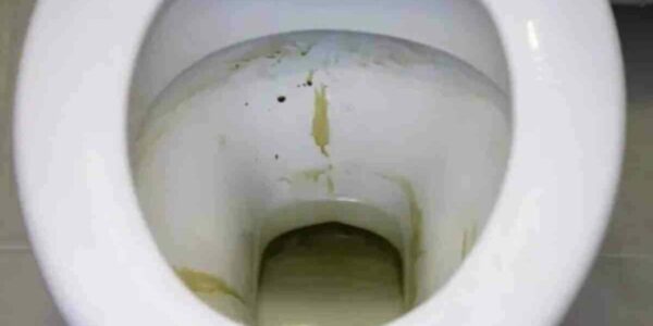 O limpador natural que seu banheiro desagradável precisa